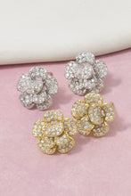 Load image into Gallery viewer, Lhe19159 Fashion Cz Flower Cluster Earring Silver/Gold