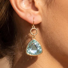 Load image into Gallery viewer, Lhe12059 Fashion Drop Assorted Color Earring Blue/Clear/Champagne /Shell