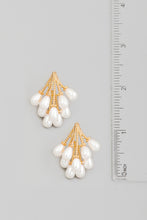 Load image into Gallery viewer, Lhe44089 Fashion Pearl Earring Drops