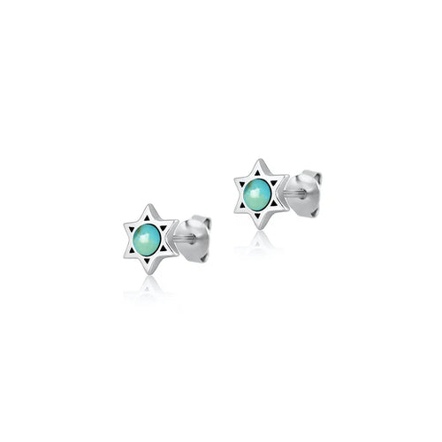Lhe4308679 Sterling Silver Turquoise Star of David Earring