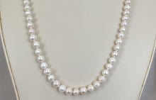Load image into Gallery viewer, Lhpn142 Cultured White Pearl Necklace
