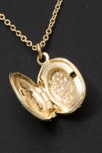 Load image into Gallery viewer, Lhn06479 Fashion Locket Necklace Brass