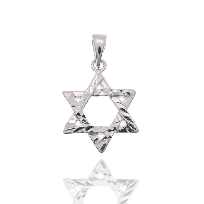 Lhp00001 Sterling Silver Star of David Necklace+ 18